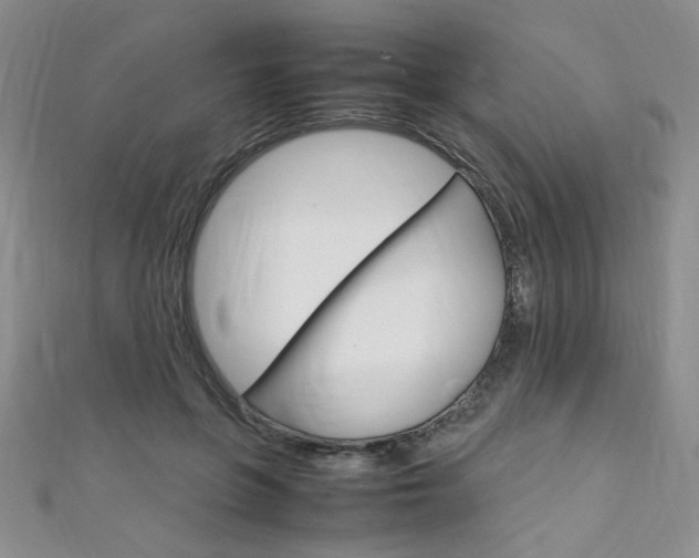 X0000111650551200907171101