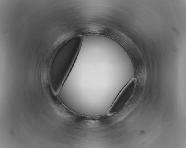 X0000111650552200907171101