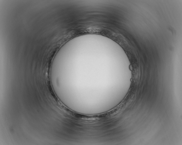 X0000111650553200907171101