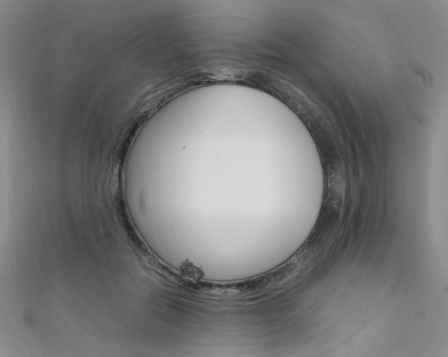 X0000111650554200907171101