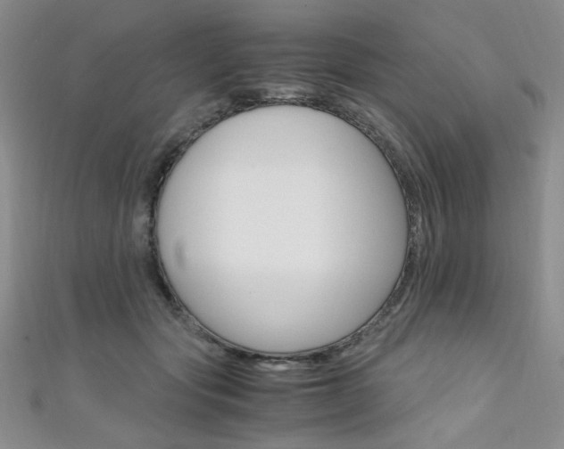 X0000111650557200907171101