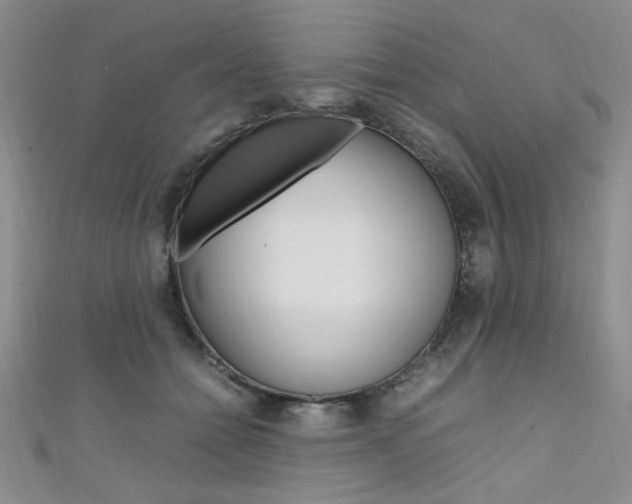 X0000111650558200907171101