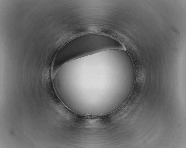 X0000111650560200907171101