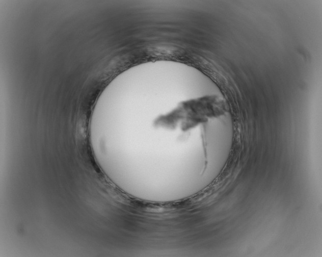 X0000111650561200907171101