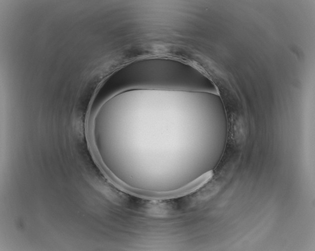 X0000111650562200907171101