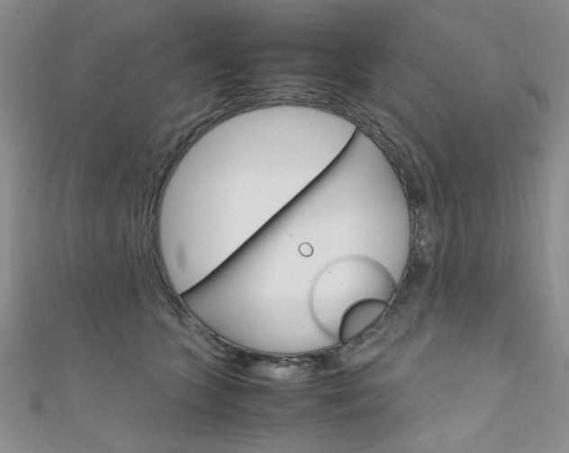 X0000111650563200907171101