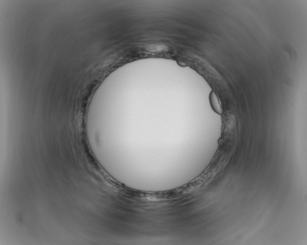 X0000111650565200907171101