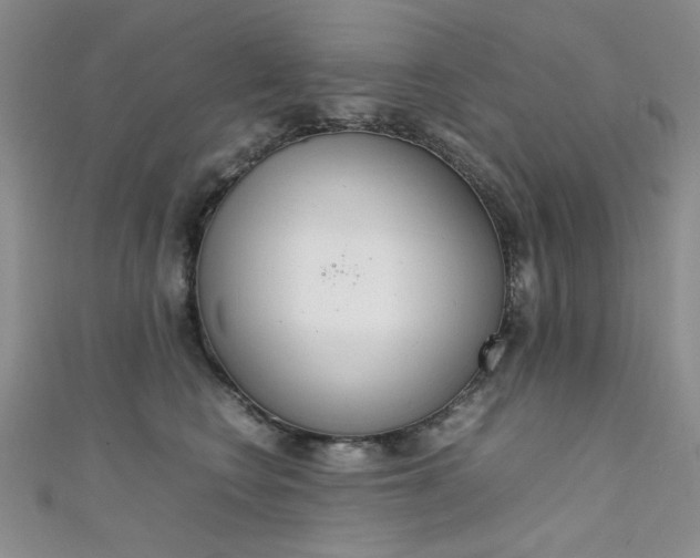 X0000111650566200907171101