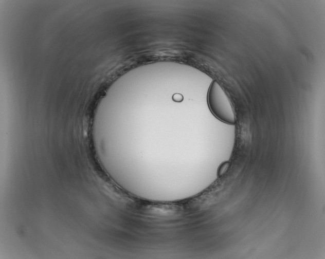 X0000111650567200907171101
