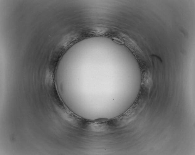 X0000111650568200907171101