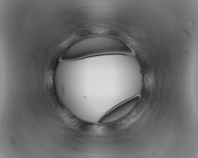 X0000111650570200907171101