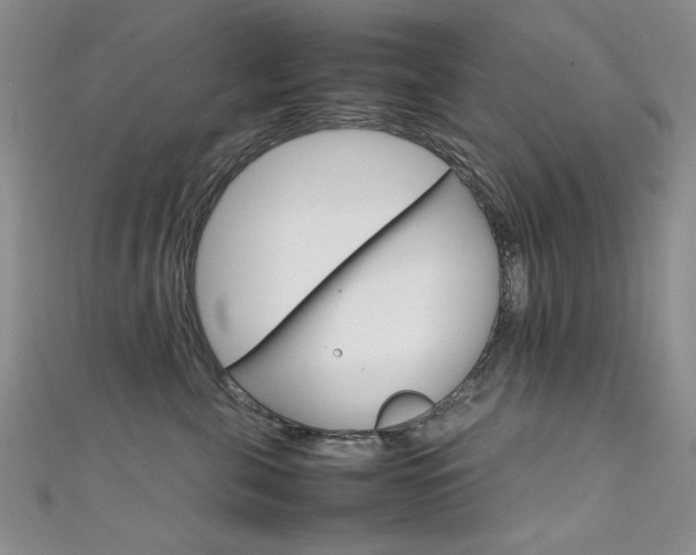 X0000111650571200907171101