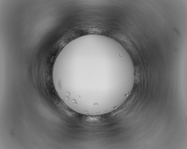 X0000111650573200907171101