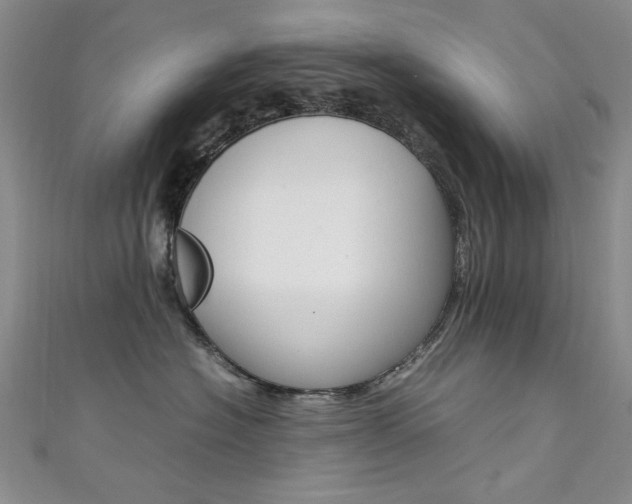X0000111650574200907171101