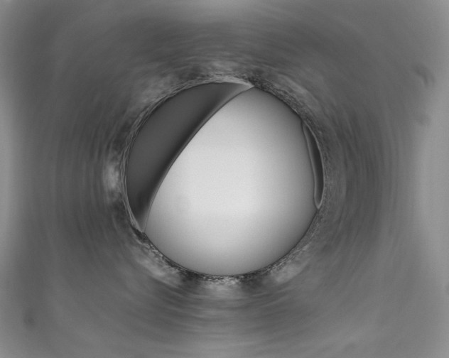 X0000111650576200907171101