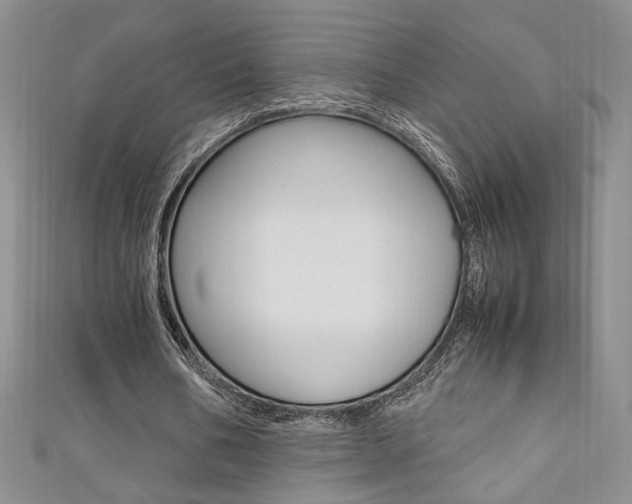 X0000111650578200907171101