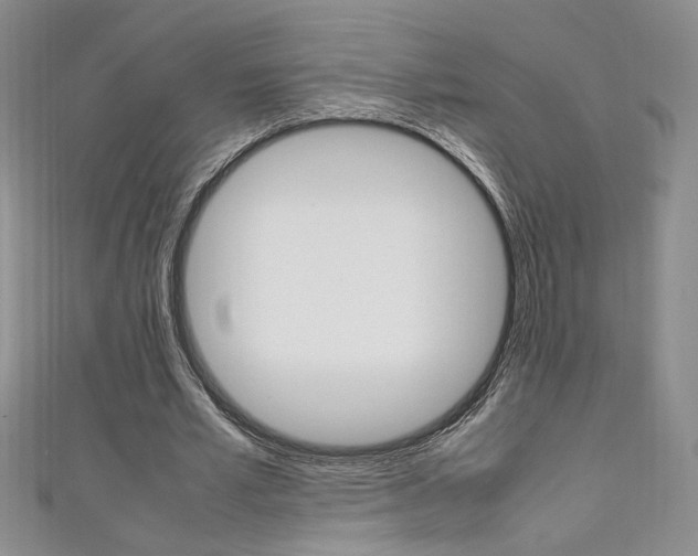 X0000111650581200907171100