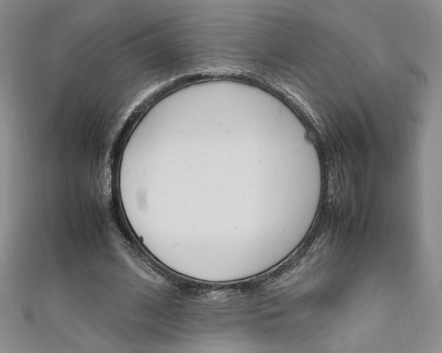X0000111650584200907171100