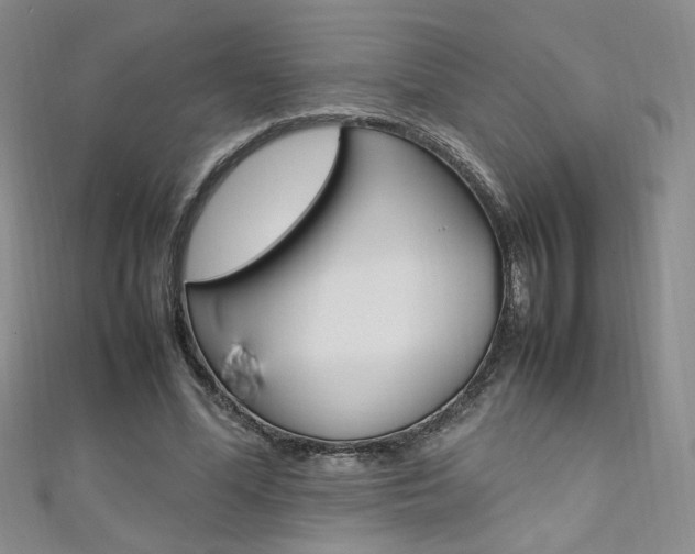 X0000111650588200907171100