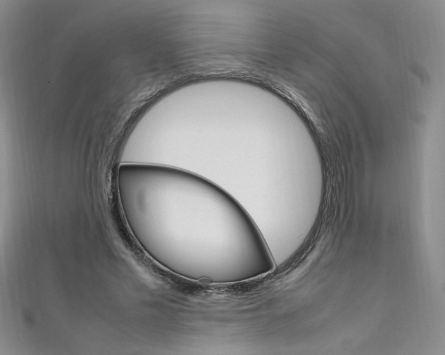 X0000111650589200907171100