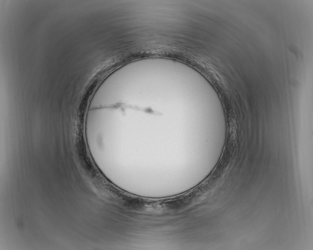 X0000111650591200907171100