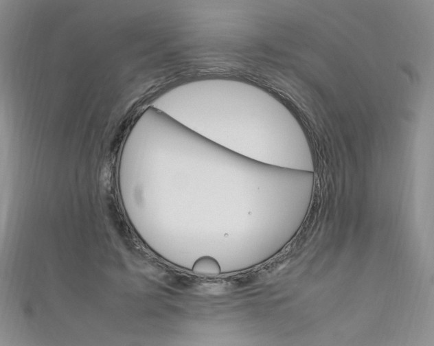 X0000111650595200907171100