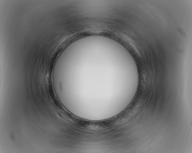 X0000111650596200907171100