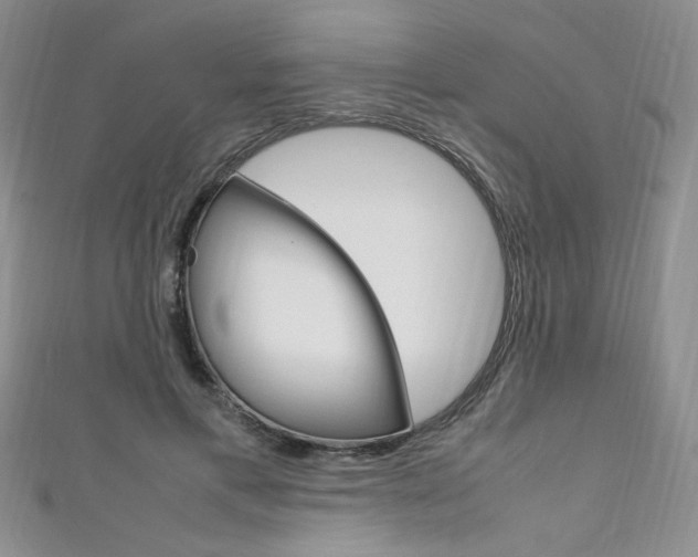 X0000111650597200907171100