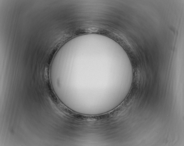 X0000111650598200907171100