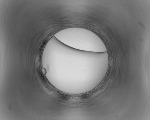 X0000111650599200907171100