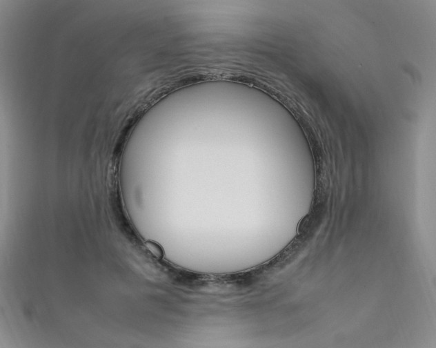 X0000111650601200907171100