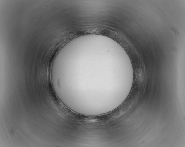 X0000111650602200907171100