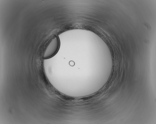X0000111650603200907171100