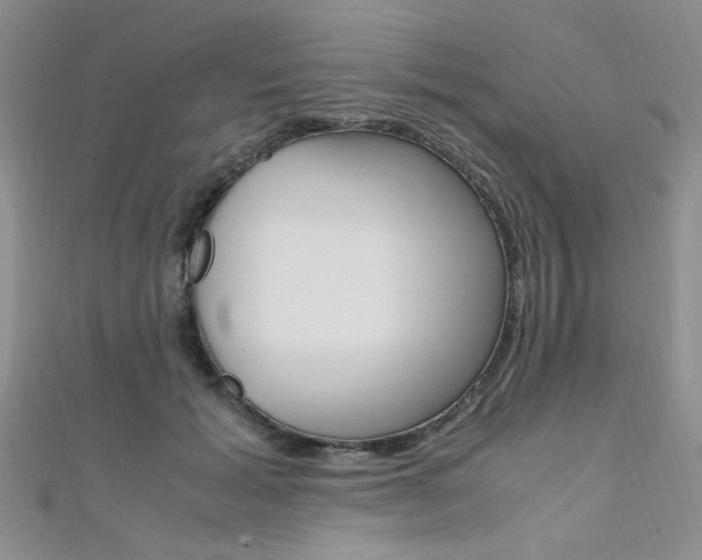 X0000111650605200907171100