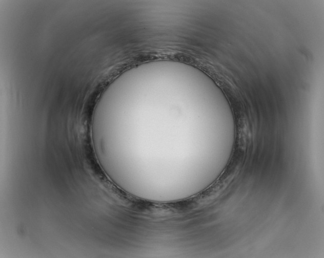 X0000111650608200907171100