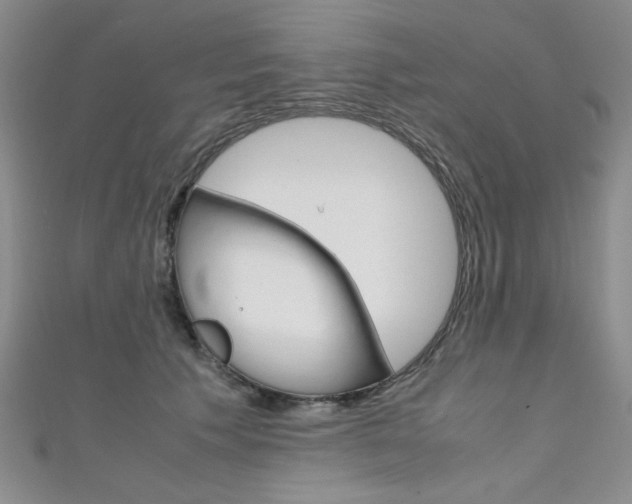 X0000111650609200907171100