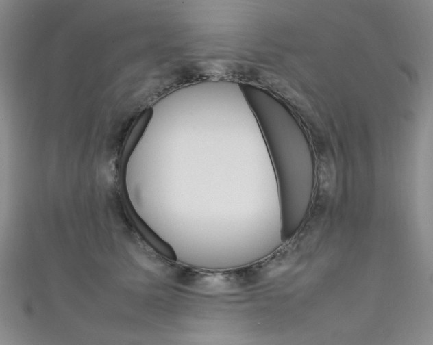X0000111650611200907171100