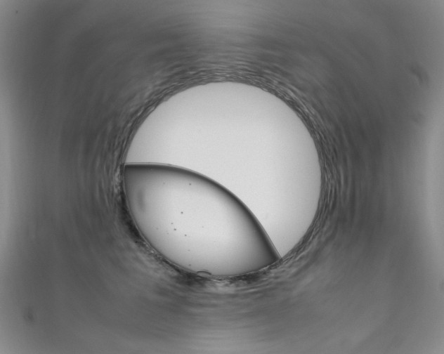 X0000111650613200907171100