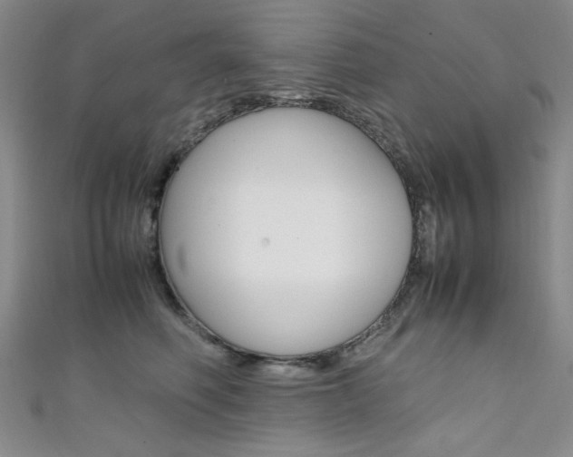 X0000111650614200907171100