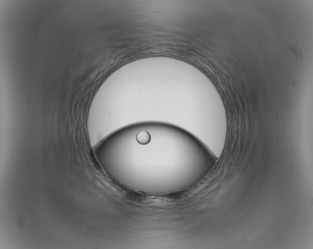 X0000111650617200907171100