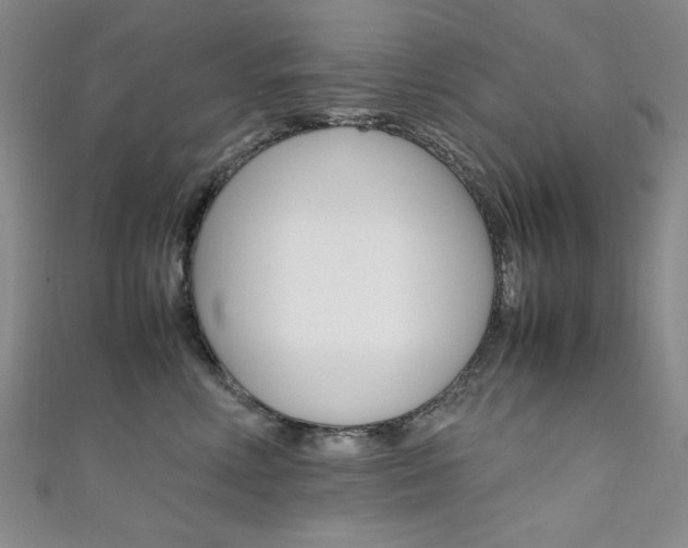X0000111650618200907171100