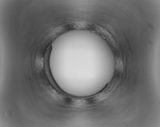 X0000111650621200907171100
