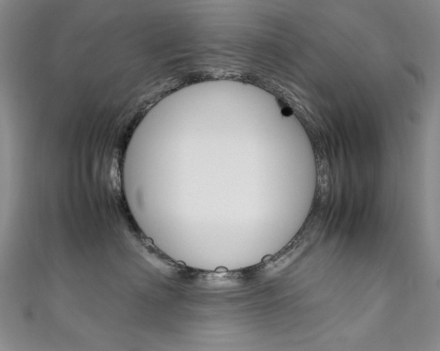 X0000111650622200907171100