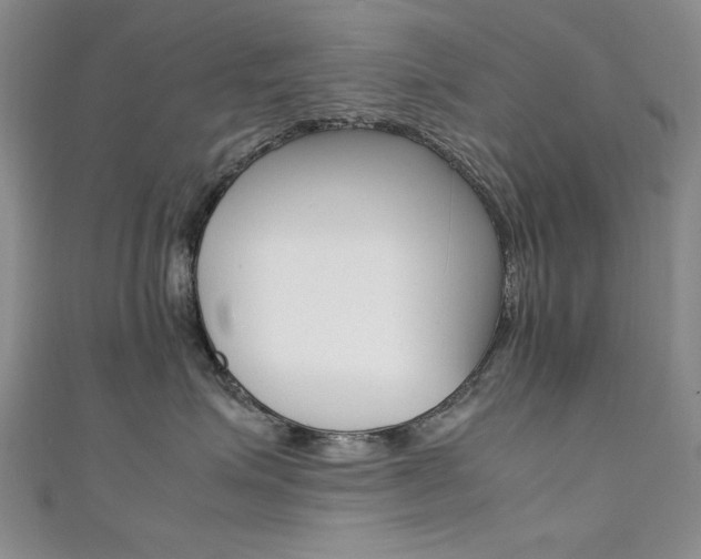 X0000111650623200907171100