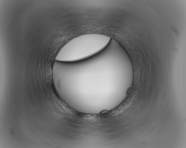 X0000111650624200907171100
