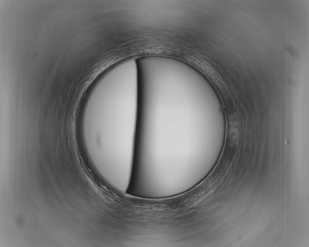 X0000111650626200907171059