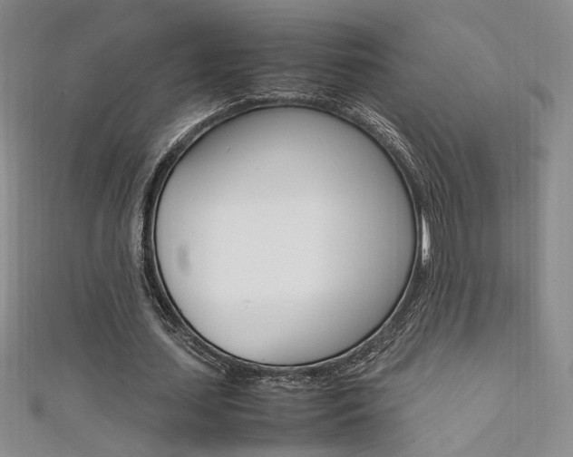 X0000111650627200907171059