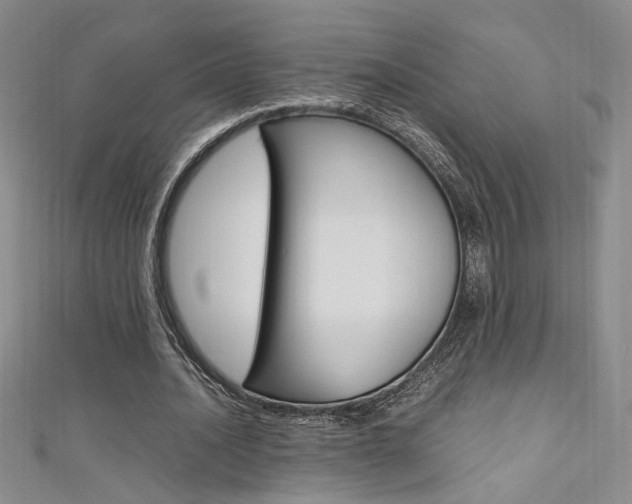 X0000111650628200907171059