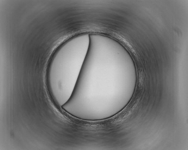 X0000111650629200907171059