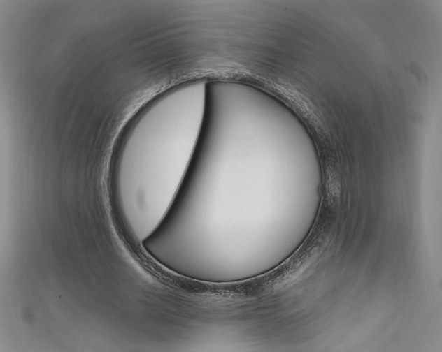 X0000111650630200907171059